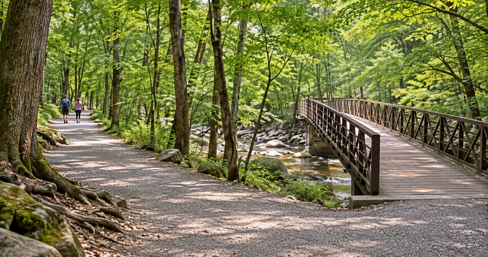 How to Spend a Gatlinburg Day Without Watching the Clock