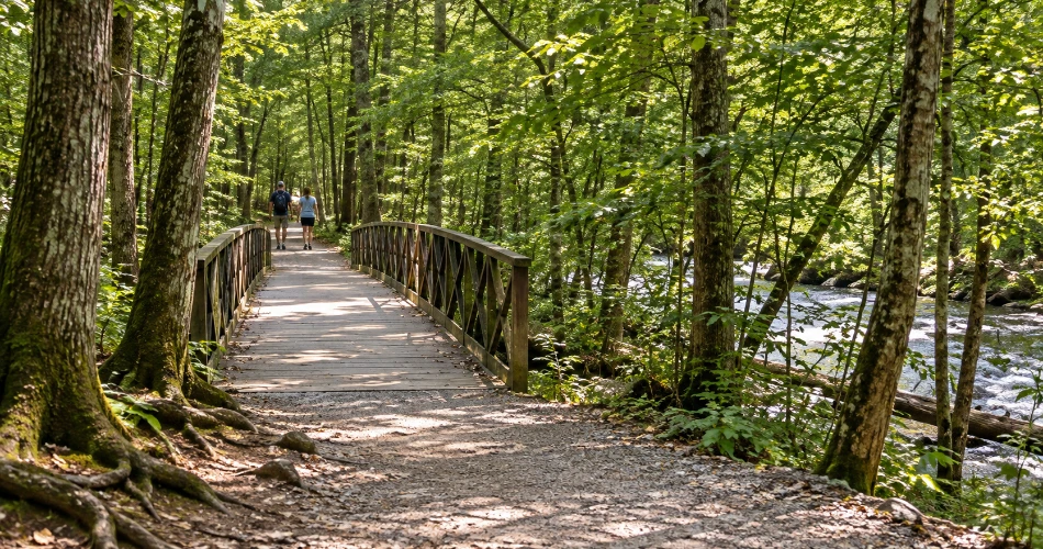 Where to Go When You Want a Quieter Gatlinburg Day