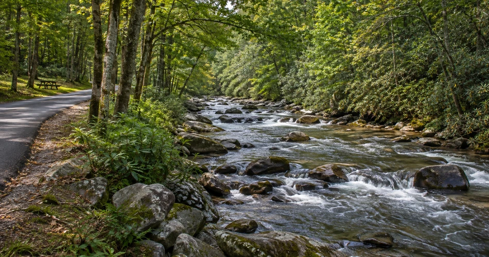 Where to Go When You Want a Quieter Gatlinburg Day