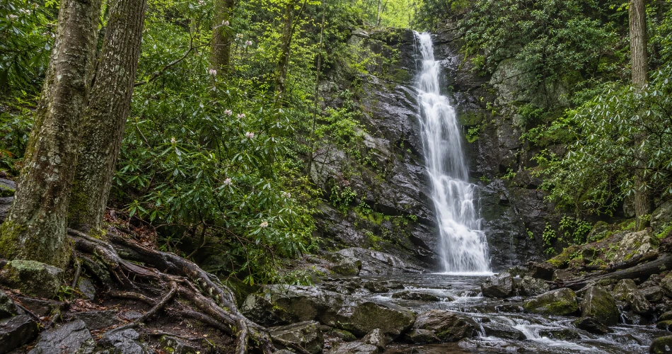 The Gatlinburg Stops That Are Worth Getting Out of the Car For