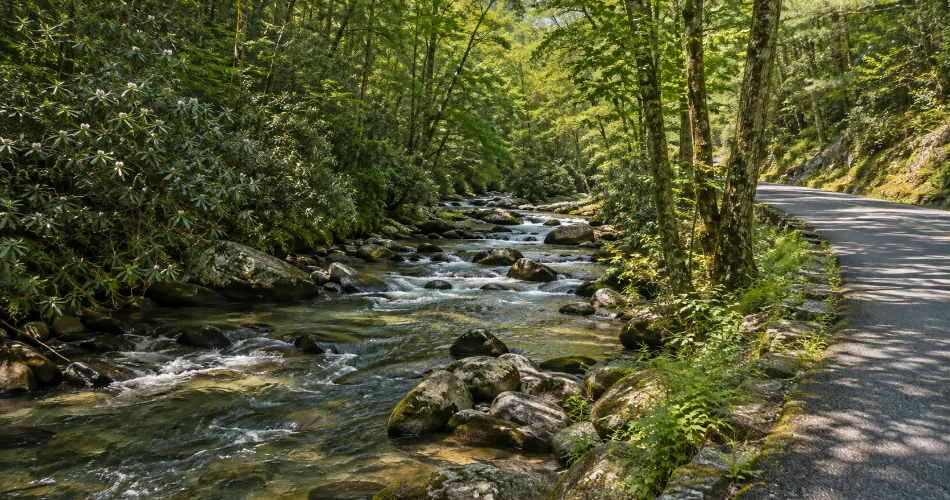 The Places Near Gatlinburg That Are Worth Leaving Town For