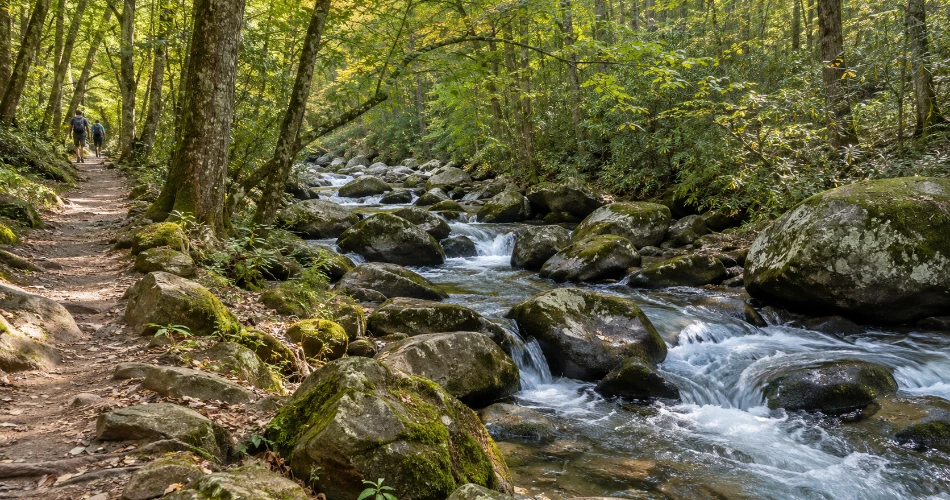 The Places Near Gatlinburg That Are Worth Leaving Town For