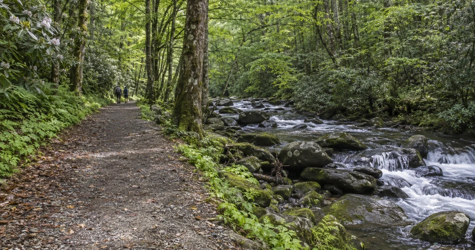 The Places Near Gatlinburg That Are Worth Leaving Town For