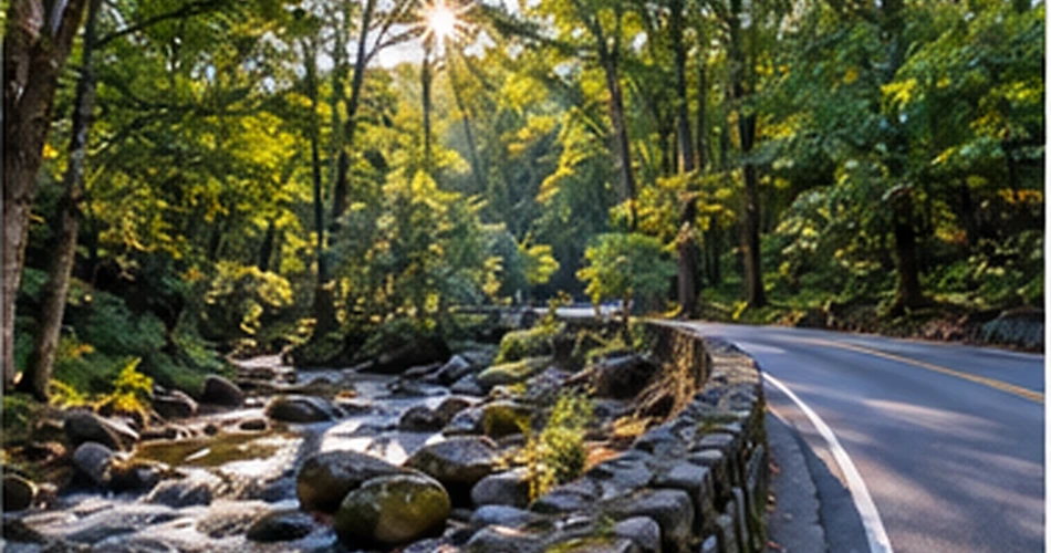 What to See When You’ve Already Done the Usual Gatlinburg Stops