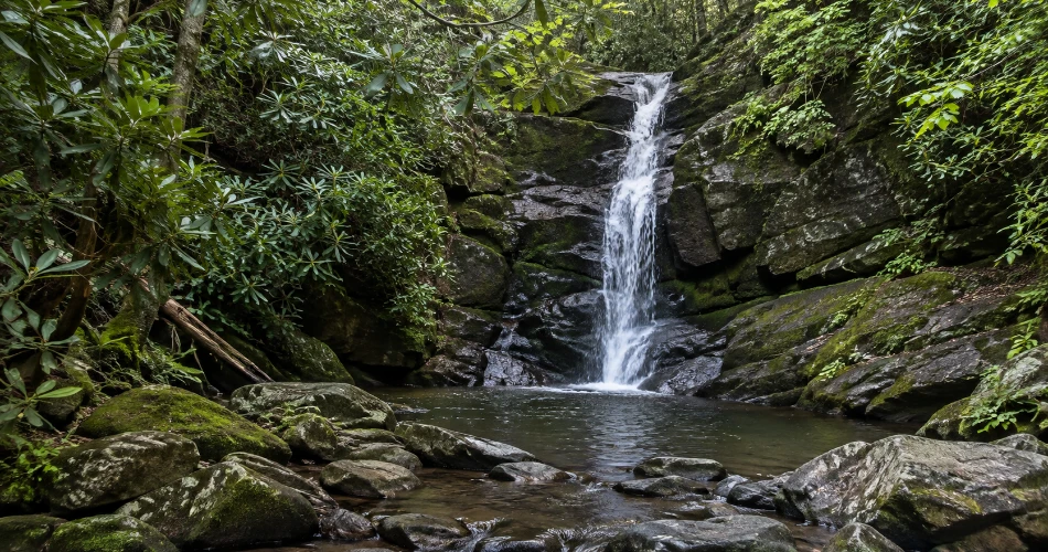 A Gatlinburg Day Built Around Good Stops, Not a Checklist Worthwhile