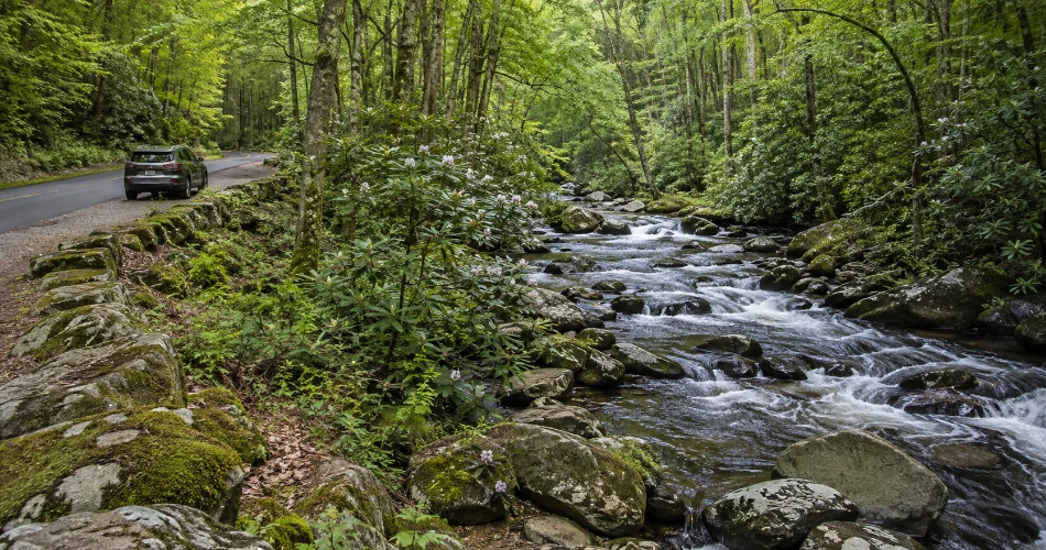 The Places Around Gatlinburg That Make the Drive Worthwhile