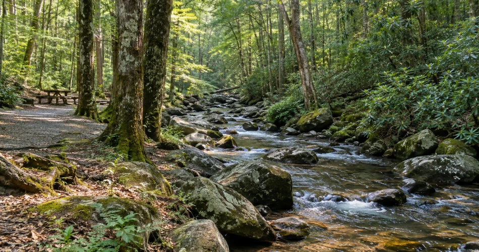 The Places Around Gatlinburg That Make the Drive Worthwhile