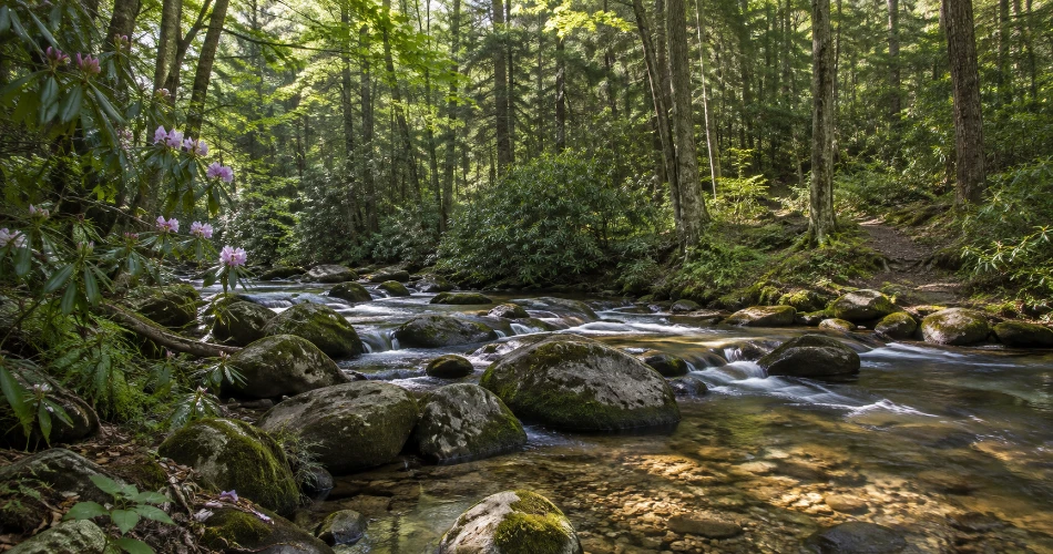 What to See Around Gatlinburg When You Want Something Different