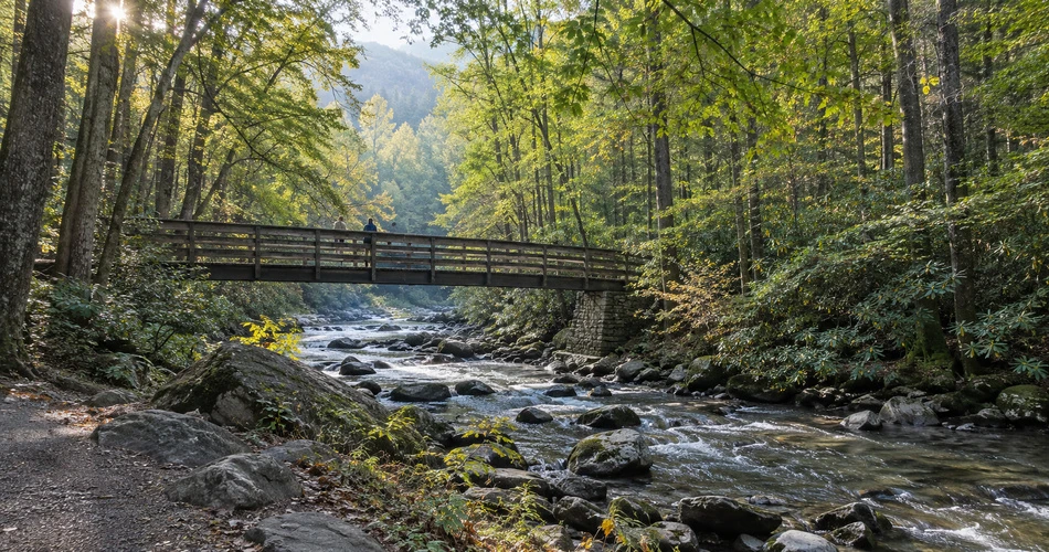 Where to Go When Downtown Gatlinburg Starts Feeling Too Busy