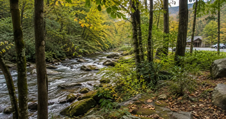 Where to Go When Downtown Gatlinburg Starts Feeling Too Busy