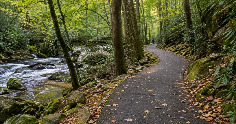 Where to Go When Downtown Gatlinburg Starts Feeling Too Busy