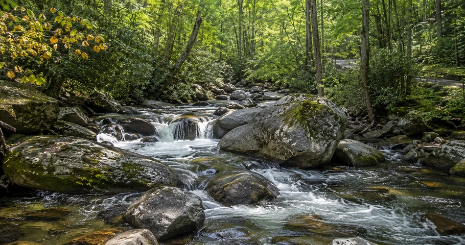Where to Go When Downtown Gatlinburg Starts Feeling Too Busy