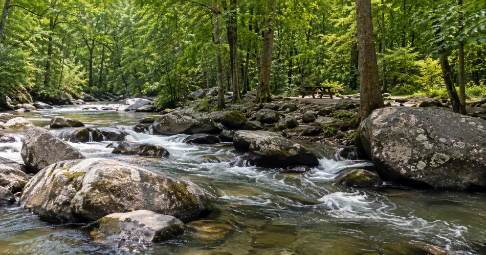The Mountain Stops Around Gatlinburg That Deserve More Time