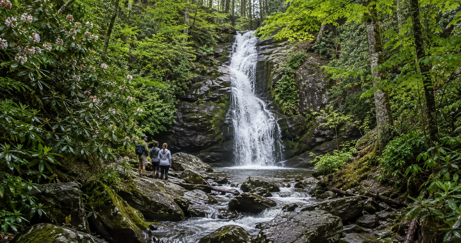 What a Good Day Around Gatlinburg Actually Looks Like