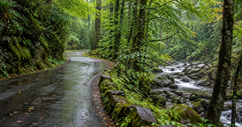 What a Good Day Around Gatlinburg Actually Looks Like