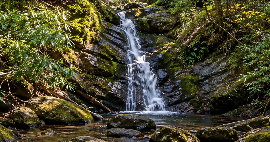 A Day Around Gatlinburg With No Need to Rush Back