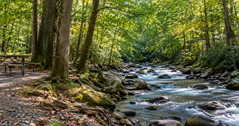 Where to Go When You Want a Less Crowded Gatlinburg Day