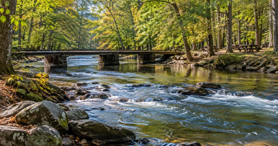 Where to Go When You Want a Less Crowded Gatlinburg Day