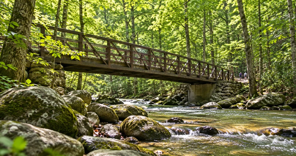 Where to Go When You Want a Less Crowded Gatlinburg Day