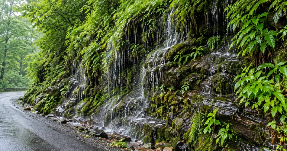 The Places Near Gatlinburg That Make a Detour Worth It