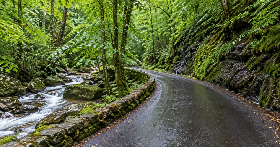 The Gatlinburg Places That Feel Different Once the Crowds Thin Out