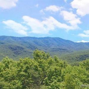 Holiday homes in Gatlinburg Tennessee