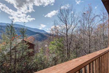 Bearway to Heaven 1 Bedroom Sleeps 4 View Pool Table Hot Tub WiFi - image 11