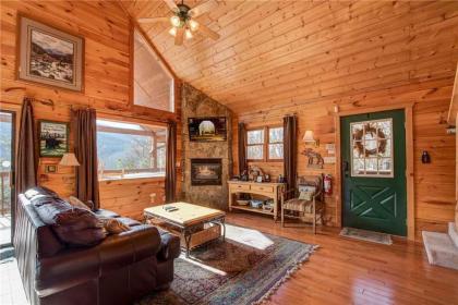 Bearway to Heaven 1 Bedroom Sleeps 4 View Pool Table Hot Tub WiFi - image 15