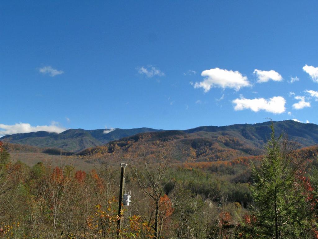 Bearway to Heaven 1 Bedroom Sleeps 4 View Pool Table Hot Tub WiFi - image 3