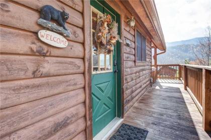 Bearway to Heaven 1 Bedroom Sleeps 4 View Pool Table Hot Tub WiFi - image 9