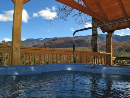 Seneca 1 Bedroom Sleeps 2 Private View Hot Tub Pool Table Grill - image 19