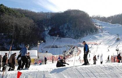 Alpine Ski Lodge 2 Bedrooms Sleeps 6 Near Ober Gatlinburg Hot Tub - image 10