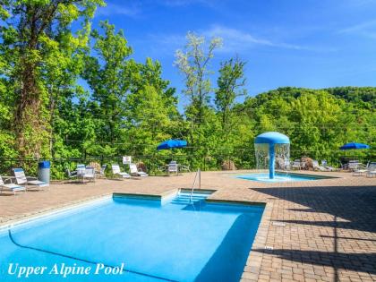 Alpine Ski Lodge 2 Bedrooms Sleeps 6 Near Ober Gatlinburg Hot Tub - image 13