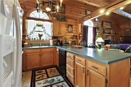 Alpine Ski Lodge 2 Bedrooms Sleeps 6 Near Ober Gatlinburg Hot Tub - image 18