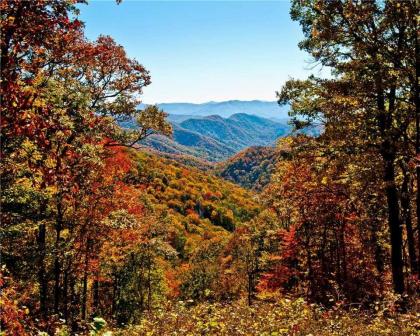 Alpine Ski Lodge 2 Bedrooms Sleeps 6 Near Ober Gatlinburg Hot Tub - image 2