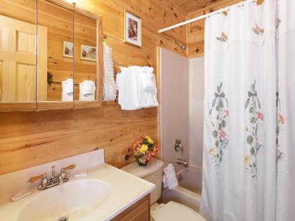 Alpine Ski Lodge 2 Bedrooms Sleeps 6 Near Ober Gatlinburg Hot Tub - image 5