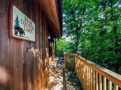 Bear Country Cabin 2 Bedrooms Sleeps 6 Private Foosball Hot Tub - image 14