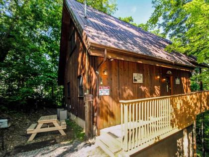 Bear Country Cabin 2 Bedrooms Sleeps 6 Private Foosball Hot Tub - image 18