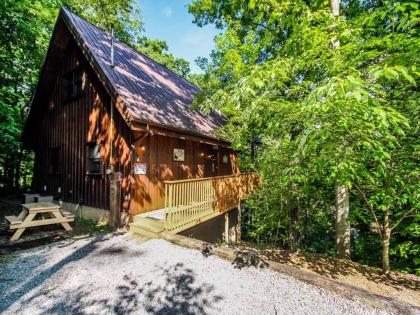 Bear Country Cabin 2 Bedrooms Sleeps 6 Private Foosball Hot Tub - image 20