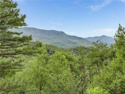 Angels View 3 Bedrooms Sleeps 10 Golfing Walk to Pool Hot Tub - image 19