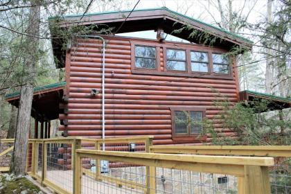 Mountain Joy cabin - image 10