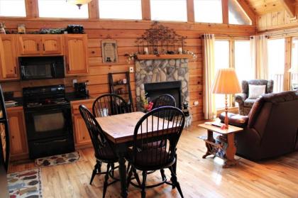 Mountain Joy cabin - image 11