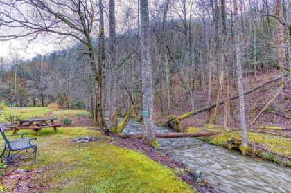 Black Bear Falls