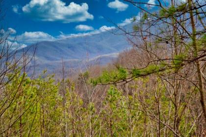 Mountain Love Nest - image 17
