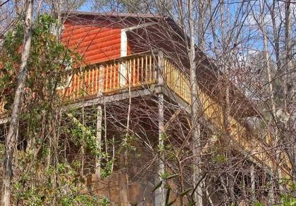 Smoky Mountain Dream - image 18