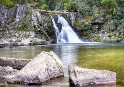 The Grand Orchard Lodge - Gatlinburg TN - image 26