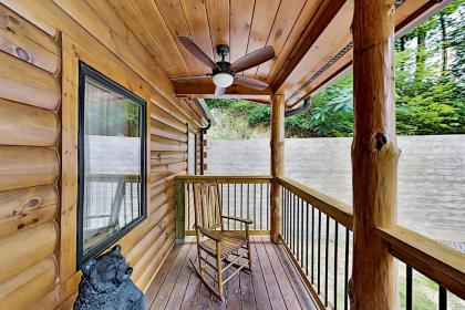 Mountain Wolf's Cabin - image 22