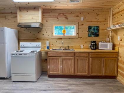 Cabin in Gatlinburg M - image 13