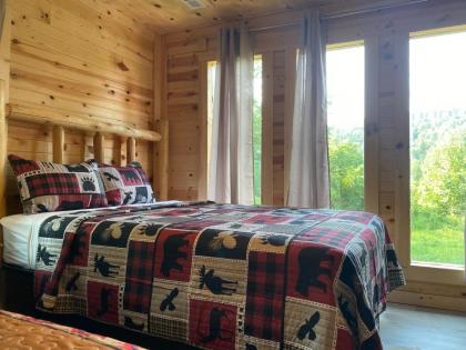 Cabin in Gatlinburg M - image 3