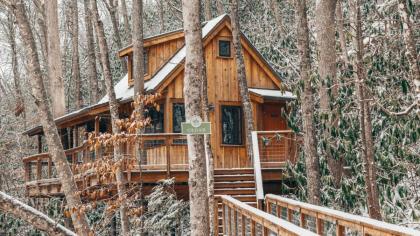 The Cedar in Treehouse Grove at Norton Creek - image 26